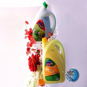 مایع ظرفشویی 1 لیتری تندیس