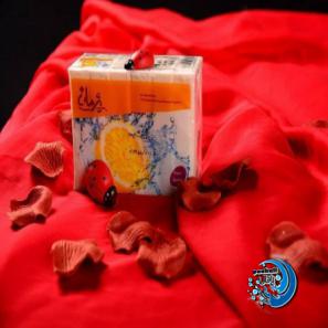 صابون رختشویی فله ای پژمان