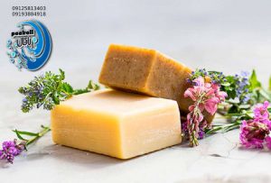 شرکت مه شویان